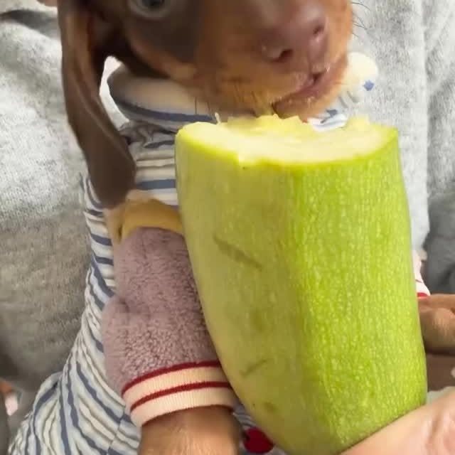  ..........fan.club_   'recent posts' 