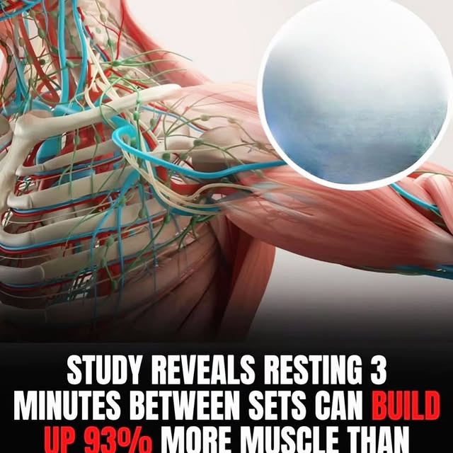  ...........s_monsters1   'recent posts' 