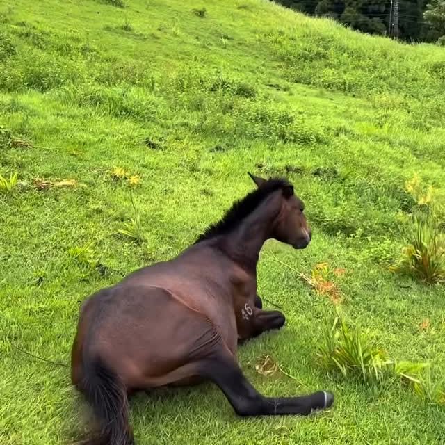  ........unlocked   'recent posts' 