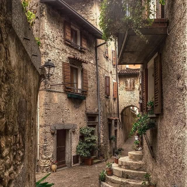  ......erfever   'recent posts' 