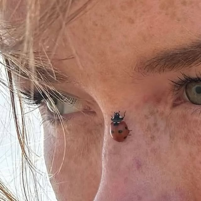  ......andmore   'recent posts' 