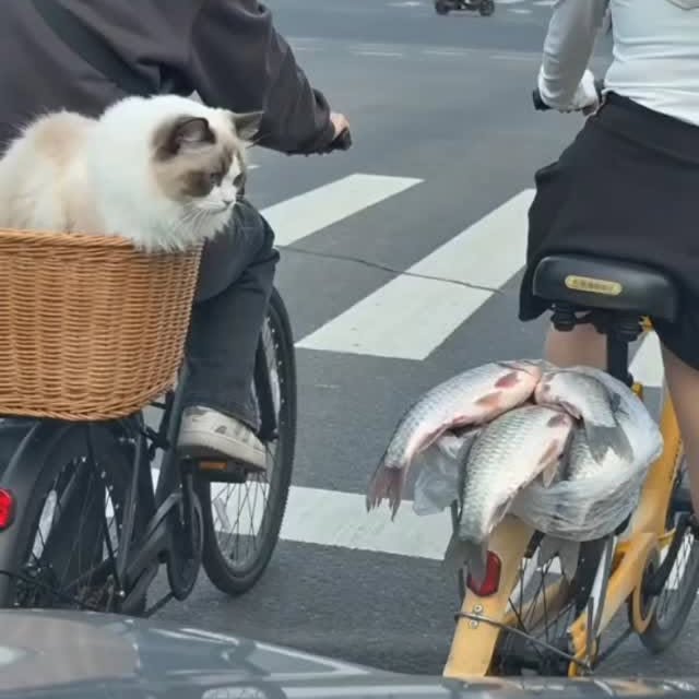  .....nly.ai   'recent posts' 