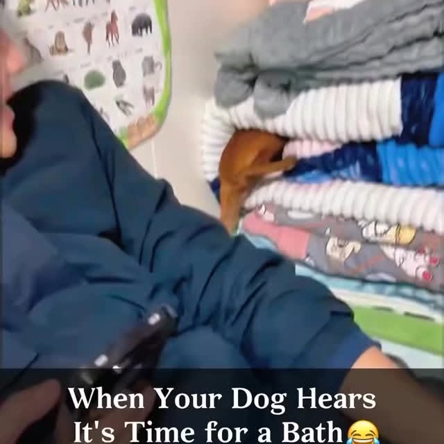  .......malshow   'recent posts' 