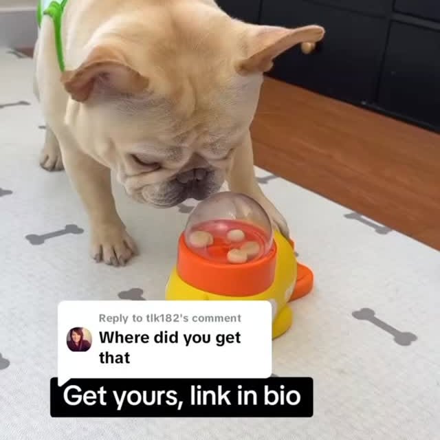  ..........ldogs_only   'recent posts' 