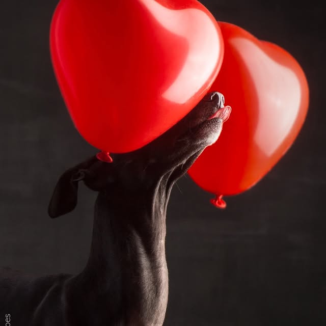  ..........hotography   'recent posts' 