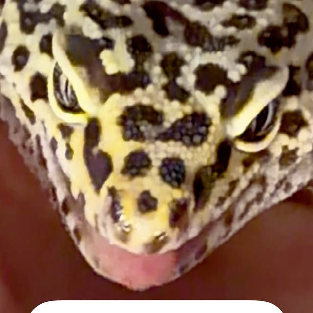  ......argeco   'recent posts' 