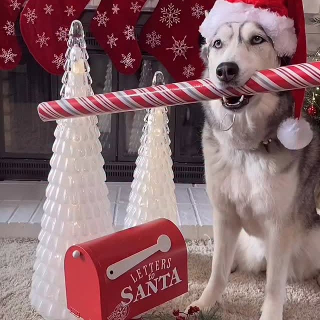  .....eteers   'recent posts' 