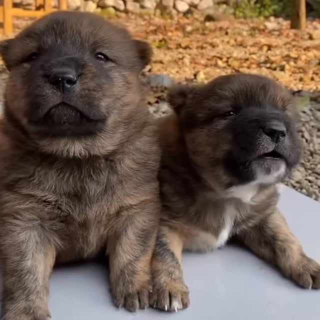  ......s.club   'recent posts' 