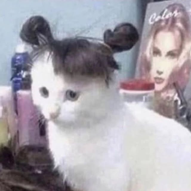  .....aties   'recent posts' 