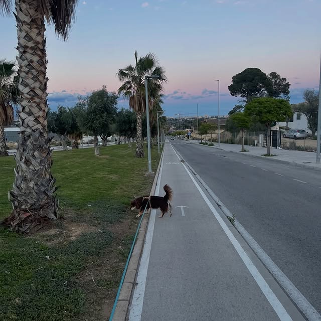  .....og2020   'recent posts' 