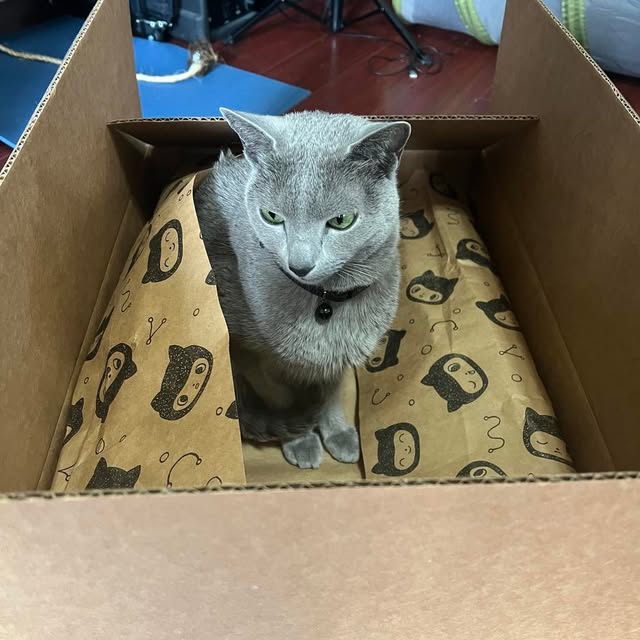  ......n_boris   'recent posts' 