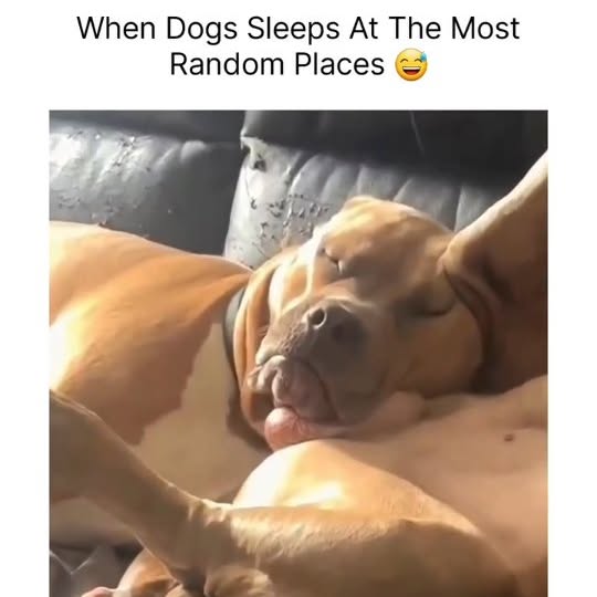  .....ibess   'recent posts' 