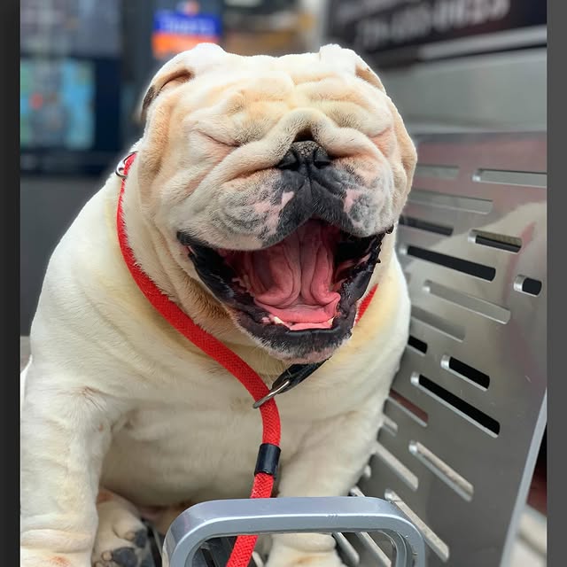  ......rwhite   'recent posts' 