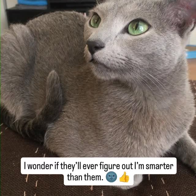  ......n_boris   'recent posts' 