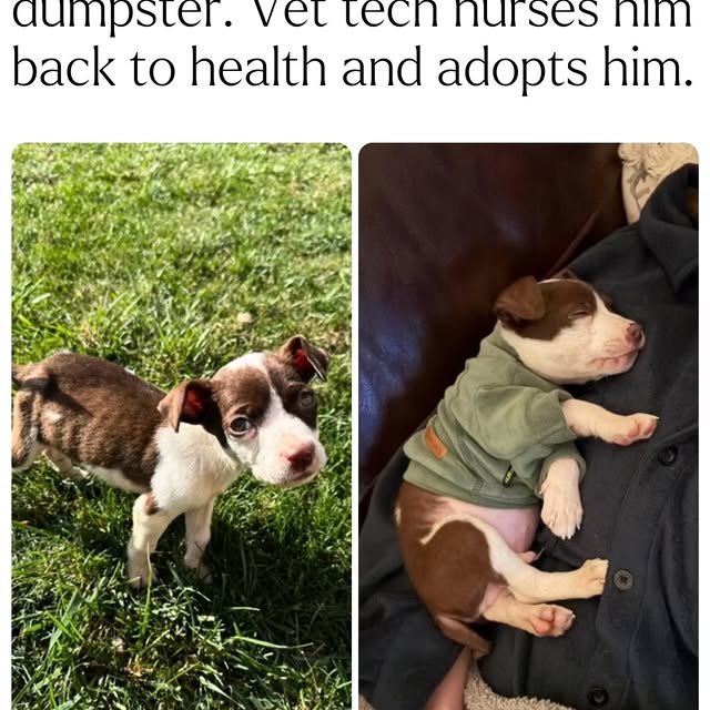  .......s.global   'recent posts' 