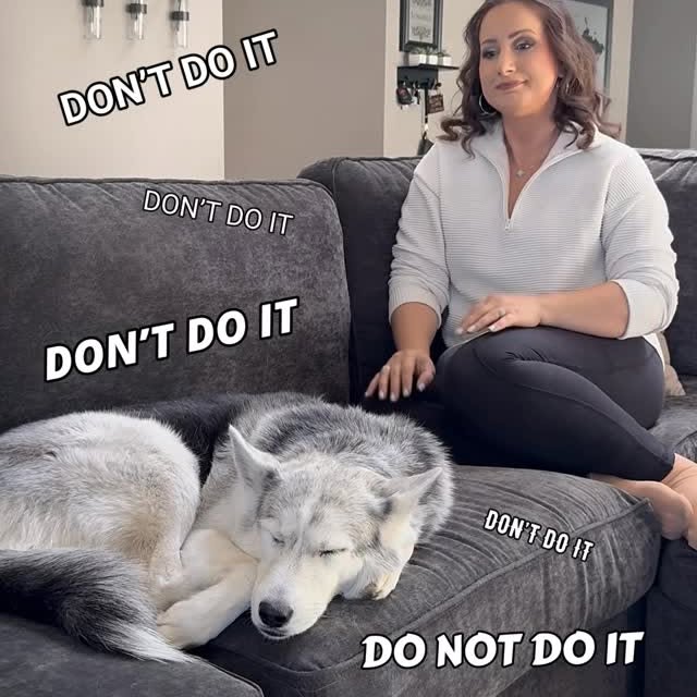  .....eteers   'recent posts' 