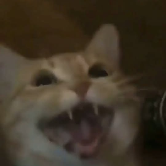  ...........irmouthopen   'recent posts' 