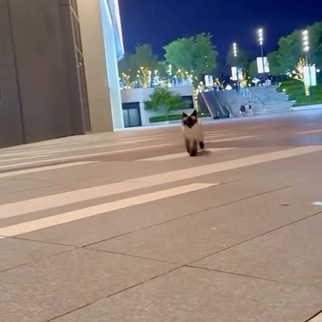  ......atclub   'recent posts' 