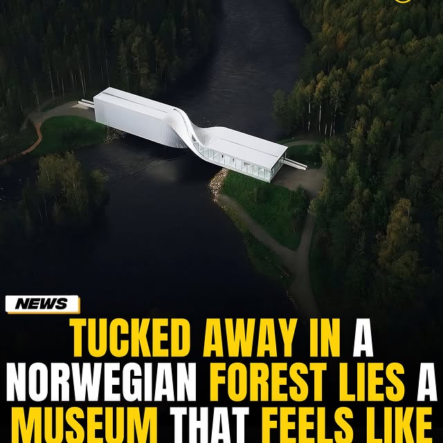  .......onfacts   'recent posts' 