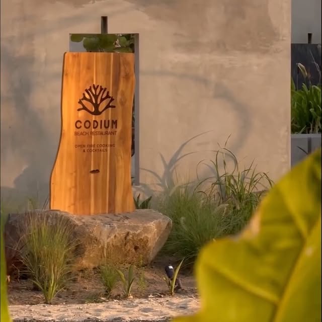  .......carrillo   'recent posts' 