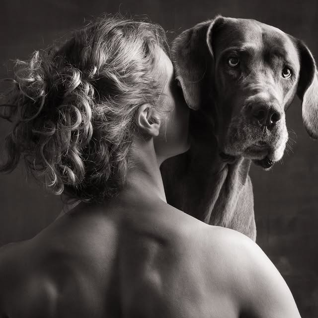  ..........hotography   'recent posts' 