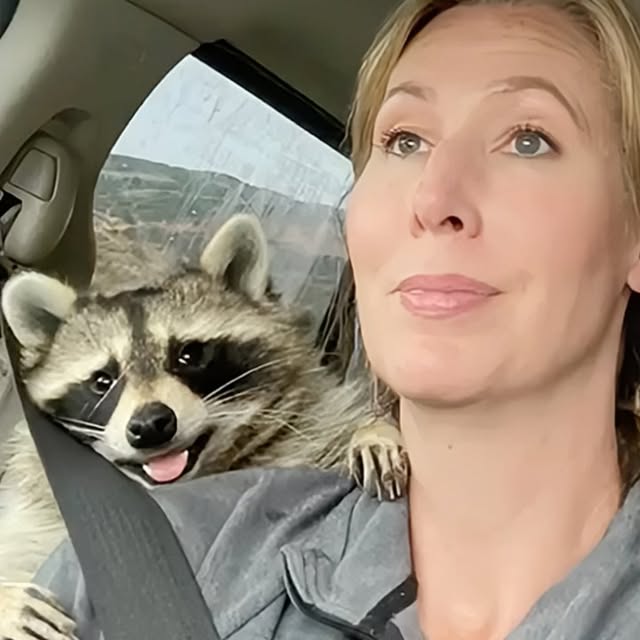  ........malsgram   'recent posts' 