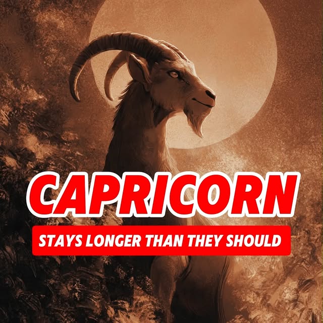  ......orntalk   'recent posts' 