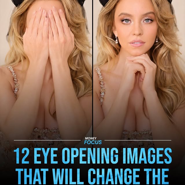  ......focus   'recent posts' 