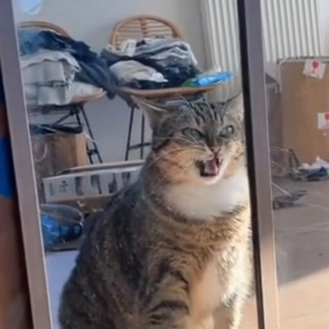  ......kekkek   'recent posts' 