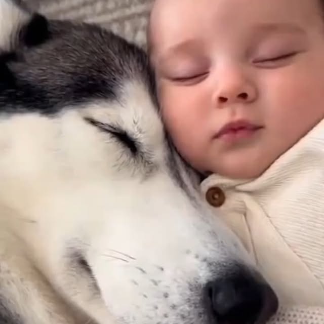  .....sland   'recent posts' 