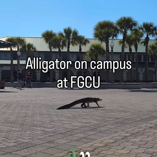  .....lorida   'recent posts' 