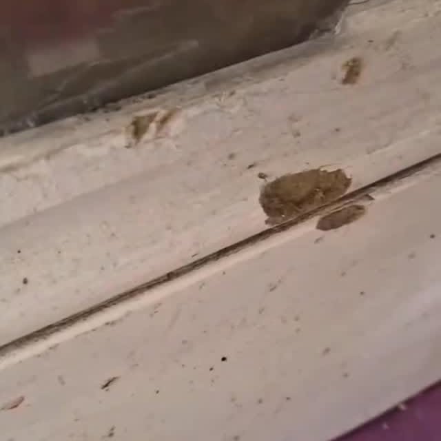  ......tionsx   'recent posts' 