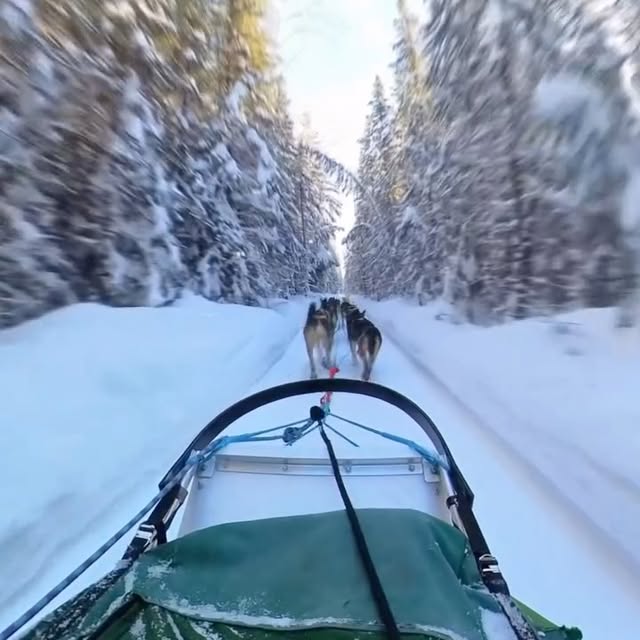  ......dchichi   'recent posts' 