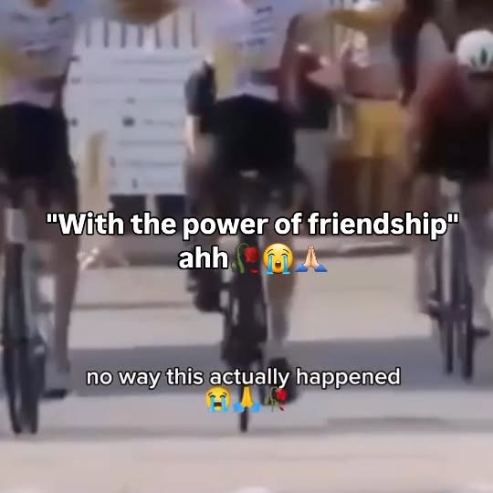  .........ereelpull   'recent posts' 