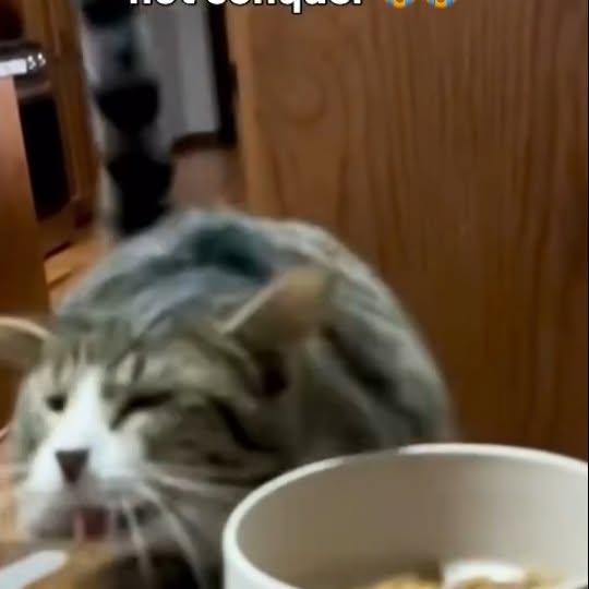  ...........irmouthopen   'recent posts' 