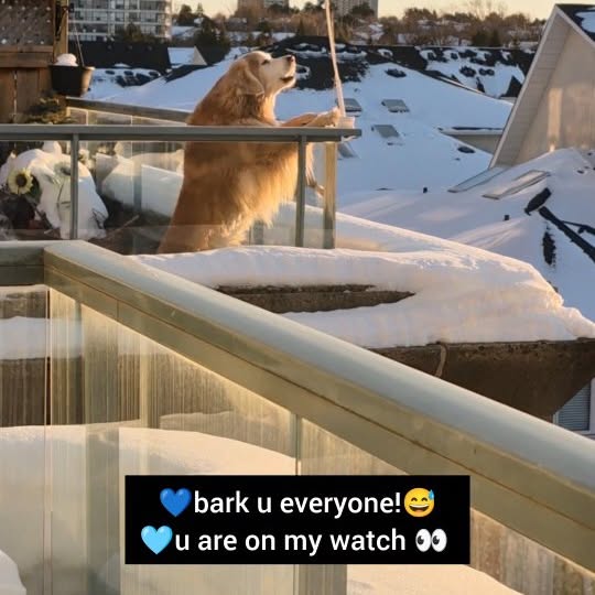  ..ps   'recent posts' 