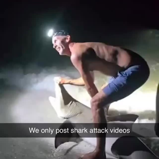  .........arkattacks   'recent posts' 