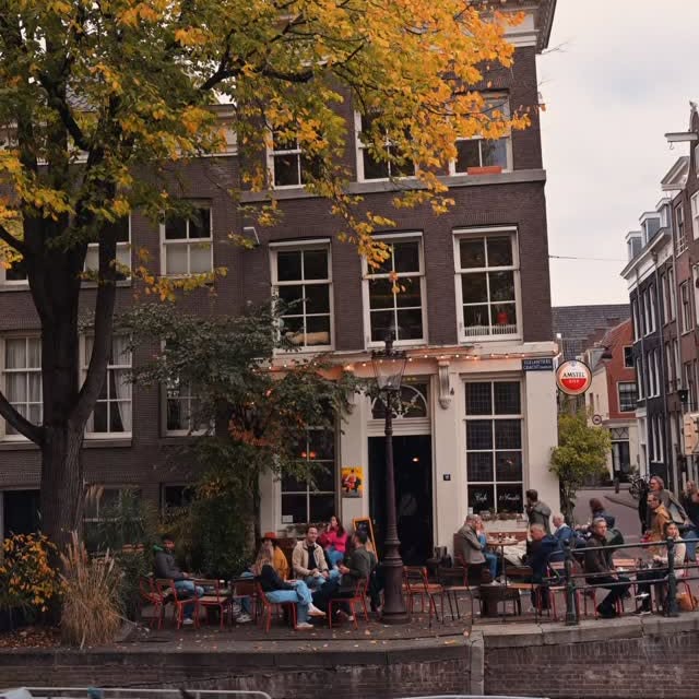  .......amshots   'recent posts' 