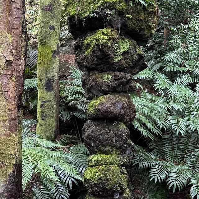  .......newport   'recent posts' 