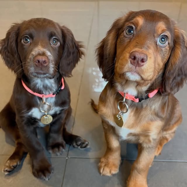  ...........es_promoter   'recent posts' 