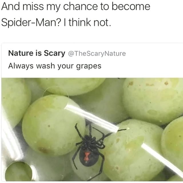  ......reguide   'recent posts' 