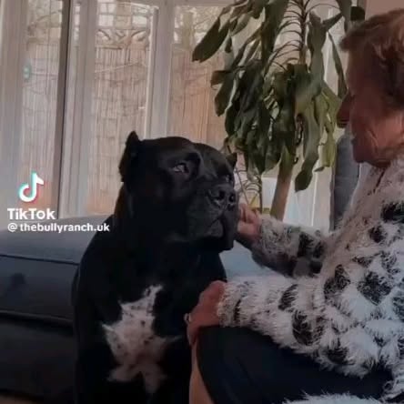  ........o.castle   'recent posts' 