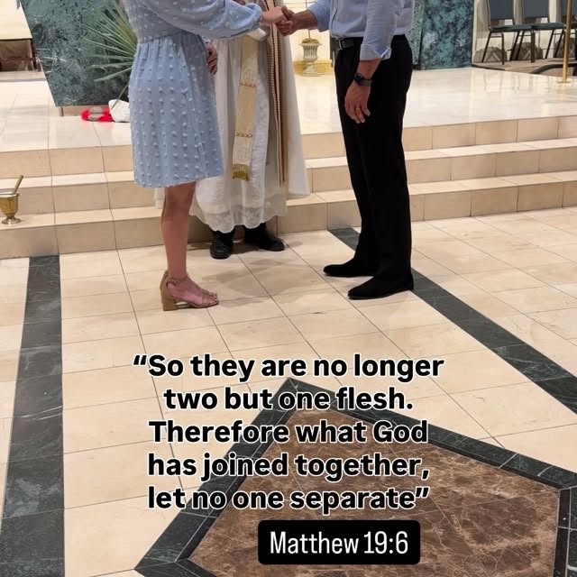  ....ines   'recent posts' 