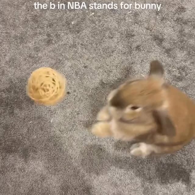  .......inheart   'recent posts' 