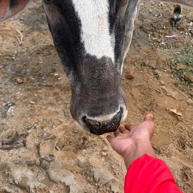  .....memes   'recent posts' 