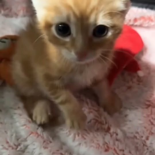  ......nd.kits   'recent posts' 