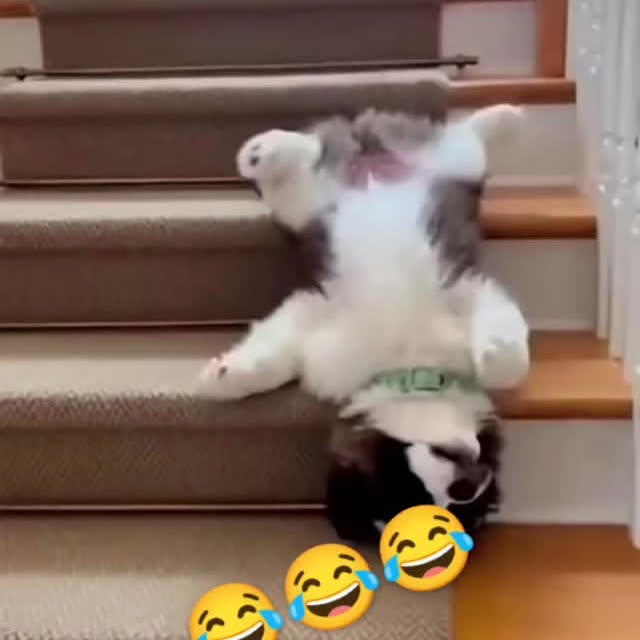  ......psworld   'recent posts' 