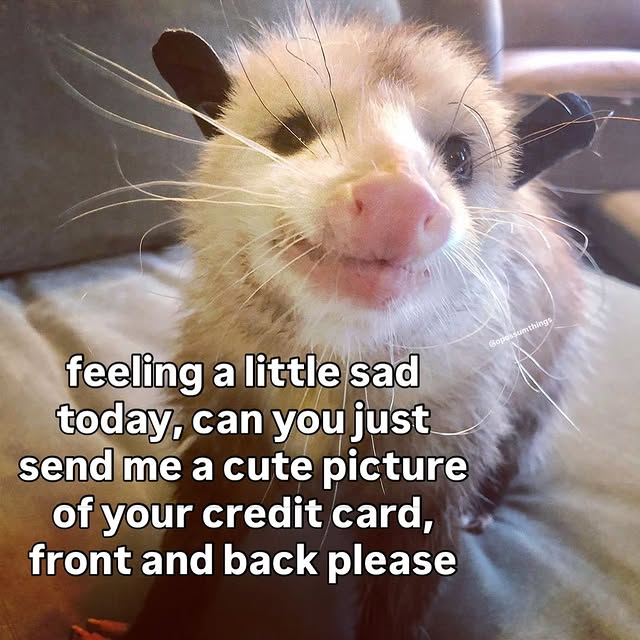  ......mthings   'recent posts' 