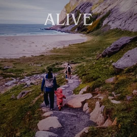  ...ured   'recent posts' 