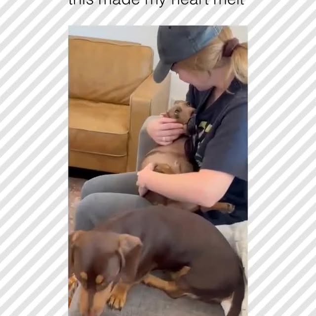  ......rposts   'recent posts' 